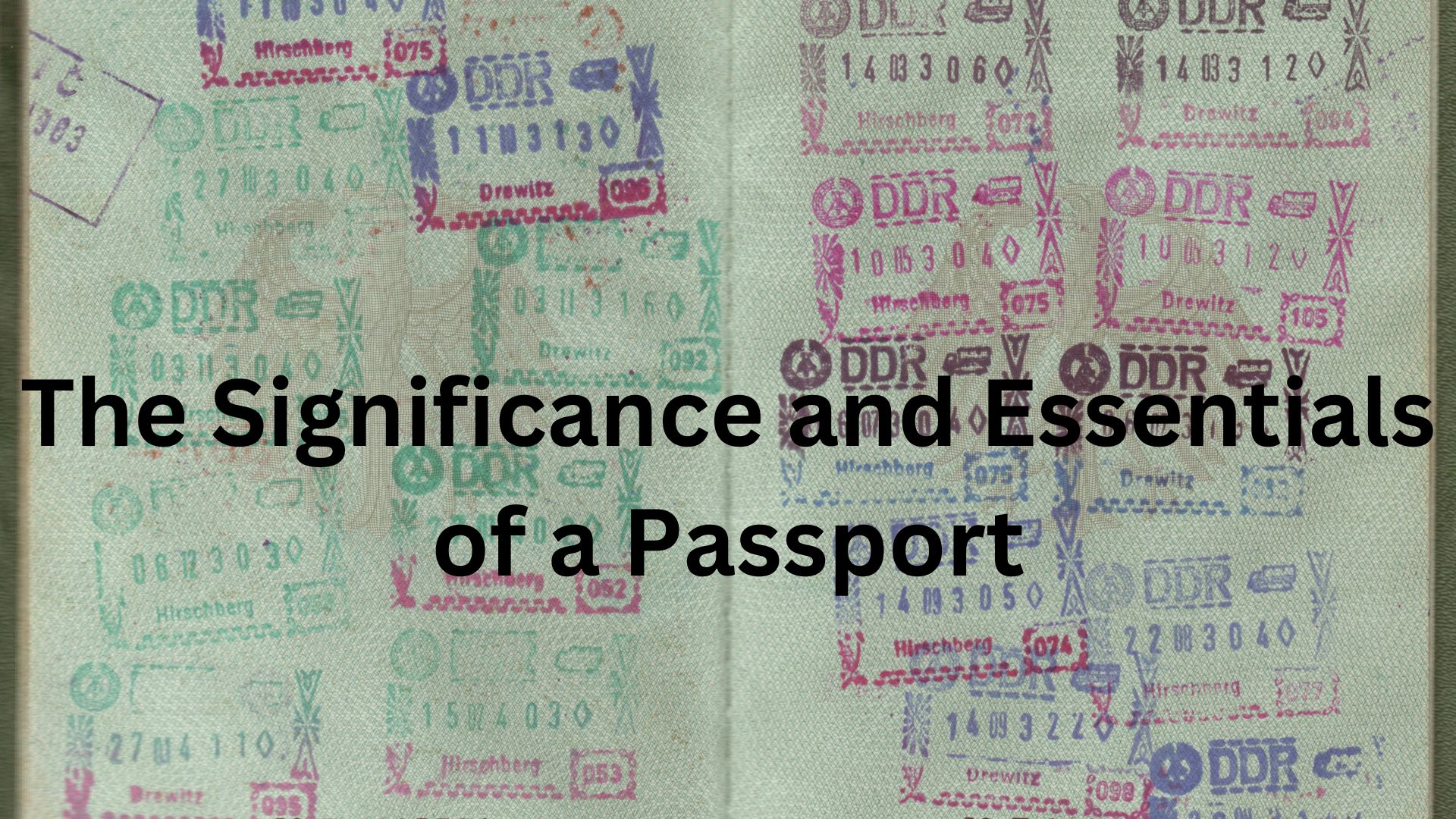 The Significance and Essentials of a Passport