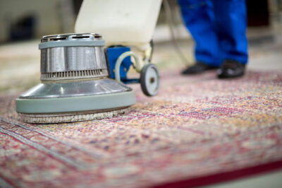 Removing Stains with Professional Carpet Cleaning Services