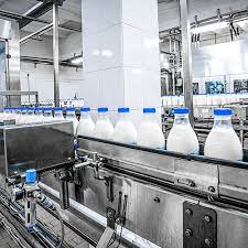 Essential considerations before embarking on a dairy farming venture