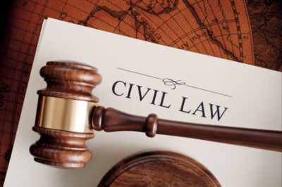 What Is The Role Of Lawyers In The Civil Justice System?