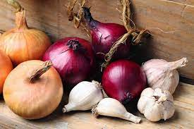 Garlic and Onions: Nature’s Flavorful Medicine for Wellness