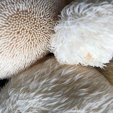 What are the Key a Lion’s Mane Grow Kit?