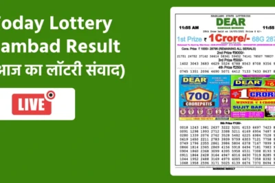 Lottery Sambad Today Result Nagaland State Dear Lottery Morning, Day, Evening and Night
